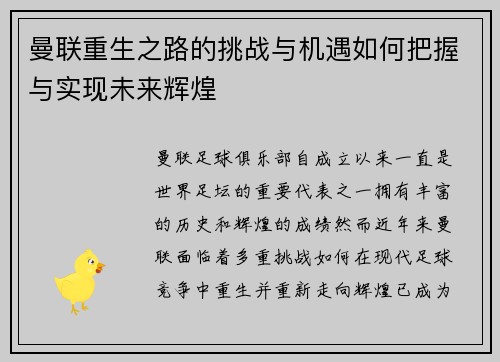 曼联重生之路的挑战与机遇如何把握与实现未来辉煌