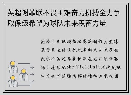 英超谢菲联不畏困难奋力拼搏全力争取保级希望为球队未来积蓄力量 英超谢菲联不畏困难奋力拼搏全力争取保级希望为球队未来积蓄力量